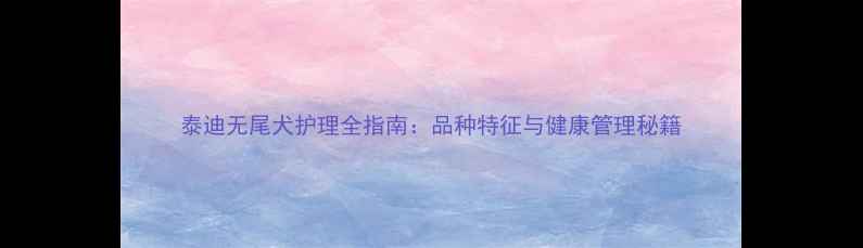 图片 泰迪无尾犬护理全指南：品种特征与健康管理秘籍