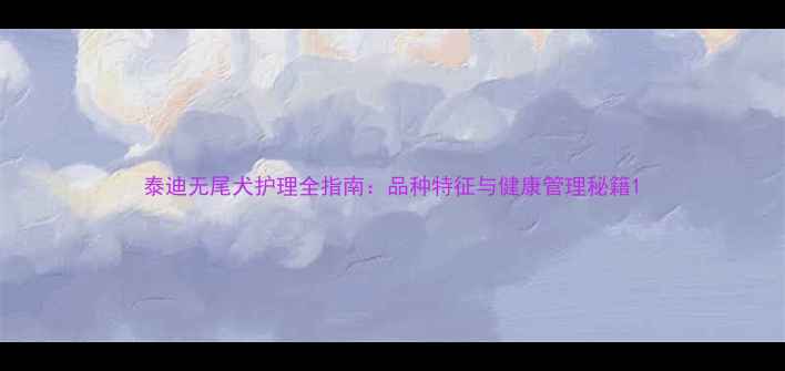 图片 泰迪无尾犬护理全指南：品种特征与健康管理秘籍1