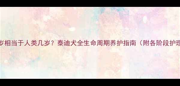 图片 泰迪犬1岁相当于人类几岁？泰迪犬全生命周期养护指南（附各阶段护理要点）1