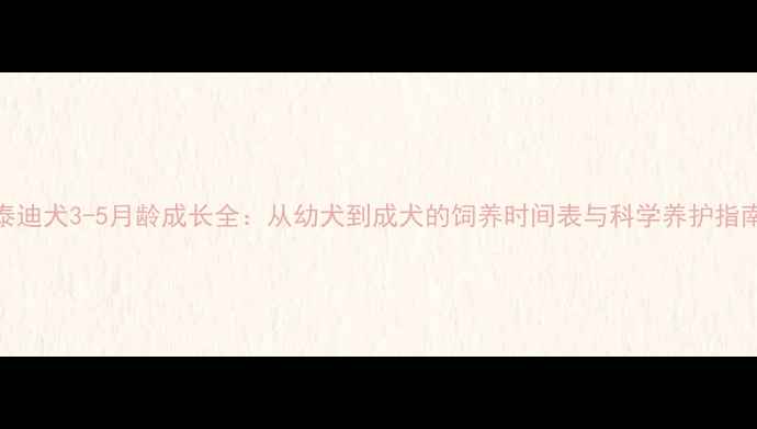 图片 泰迪犬3-5月龄成长全：从幼犬到成犬的饲养时间表与科学养护指南