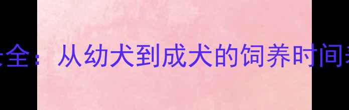 图片 泰迪犬3-5月龄成长全：从幼犬到成犬的饲养时间表与科学养护指南1