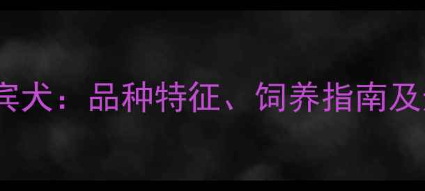 图片 泰迪犬VS贵宾犬：品种特征、饲养指南及选购全攻略2