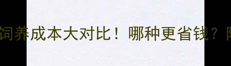 图片 泰迪犬vs贵宾犬：饲养成本大对比！哪种更省钱？附品种养护全攻略1
