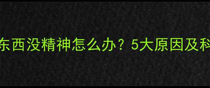图片 泰迪犬不吃东西没精神怎么办？5大原因及科学应对指南