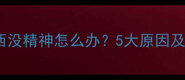 图片 泰迪犬不吃东西没精神怎么办？5大原因及科学应对指南1