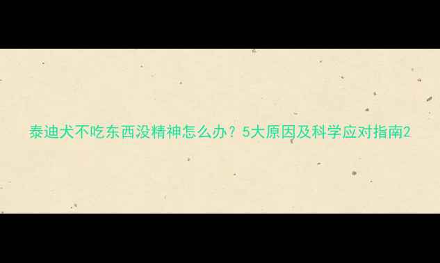 图片 泰迪犬不吃东西没精神怎么办？5大原因及科学应对指南2