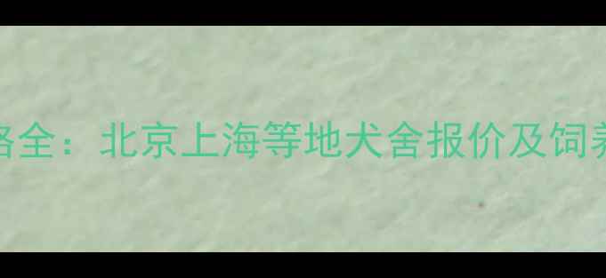 图片 泰迪犬价格全：北京上海等地犬舍报价及饲养成本指南