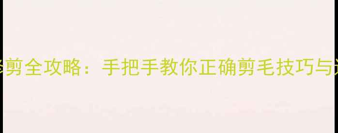 图片 泰迪犬修剪全攻略：手把手教你正确剪毛技巧与造型指南