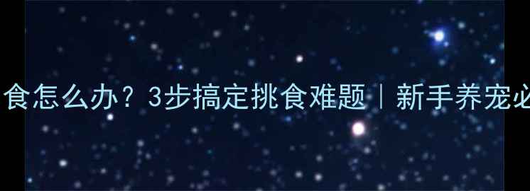 图片 泰迪犬厌食怎么办？3步搞定挑食难题｜新手养宠必看攻略1