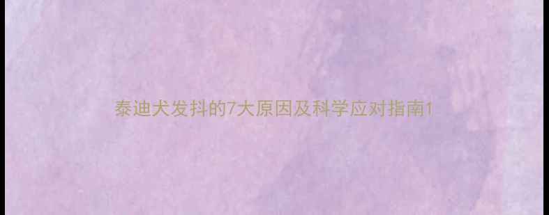 图片 泰迪犬发抖的7大原因及科学应对指南1