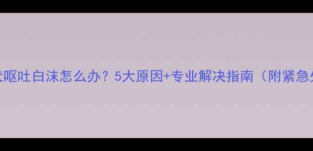 图片 泰迪犬呕吐白沫怎么办？5大原因+专业解决指南（附紧急处理）