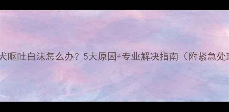 图片 泰迪犬呕吐白沫怎么办？5大原因+专业解决指南（附紧急处理）1
