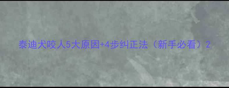 图片 泰迪犬咬人5大原因+4步纠正法（新手必看）2