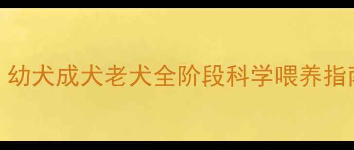 图片 泰迪犬喂食量黄金比例！幼犬成犬老犬全阶段科学喂养指南（附每日定量换算表）