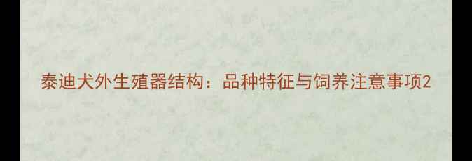 图片 泰迪犬外生殖器结构：品种特征与饲养注意事项2