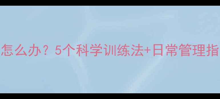 图片 泰迪犬太兴奋怎么办？5个科学训练法+日常管理指南（附案例）