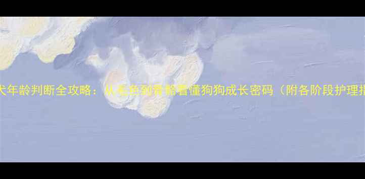 图片 泰迪犬年龄判断全攻略：从毛色到骨骼看懂狗狗成长密码（附各阶段护理指南）