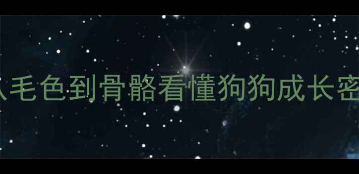 图片 泰迪犬年龄判断全攻略：从毛色到骨骼看懂狗狗成长密码（附各阶段护理指南）2