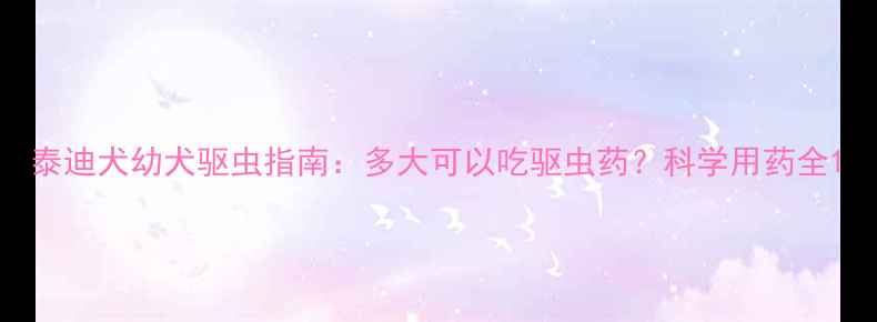 图片 泰迪犬幼犬驱虫指南：多大可以吃驱虫药？科学用药全1