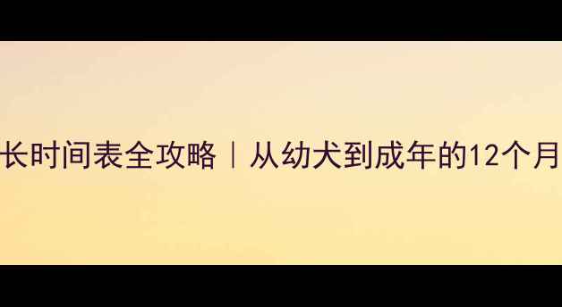 图片 泰迪犬成长时间表全攻略｜从幼犬到成年的12个月发育指南