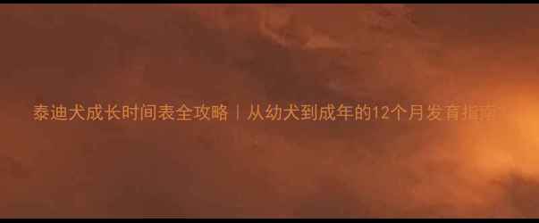 图片 泰迪犬成长时间表全攻略｜从幼犬到成年的12个月发育指南2