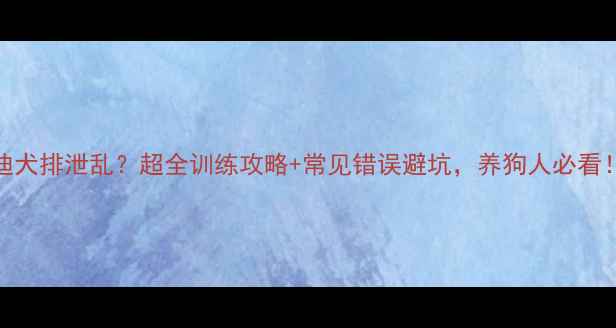 图片 泰迪犬排泄乱？超全训练攻略+常见错误避坑，养狗人必看！🐾