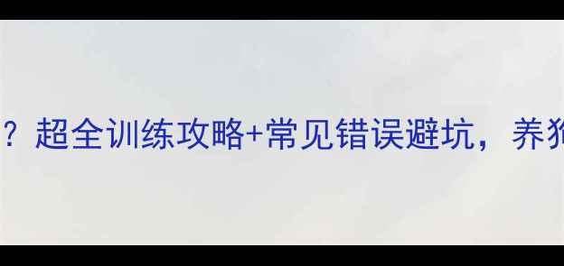 图片 泰迪犬排泄乱？超全训练攻略+常见错误避坑，养狗人必看！🐾1