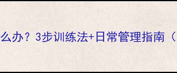 图片 泰迪犬暴躁好动怎么办？3步训练法+日常管理指南（附行为矫正案例）