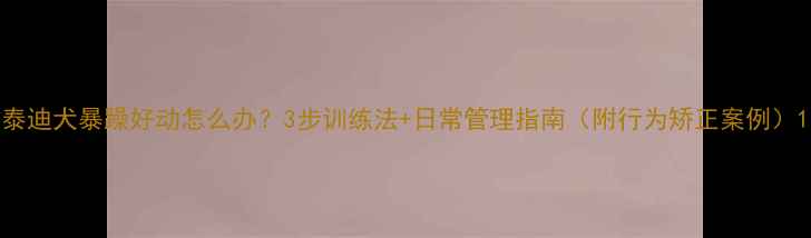 图片 泰迪犬暴躁好动怎么办？3步训练法+日常管理指南（附行为矫正案例）1