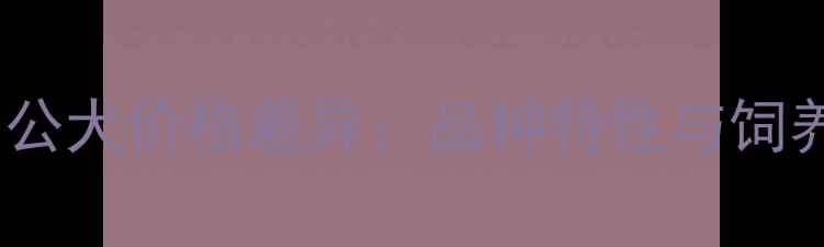 图片 泰迪犬母犬vs公犬价格差异：品种特性与饲养成本全指南2