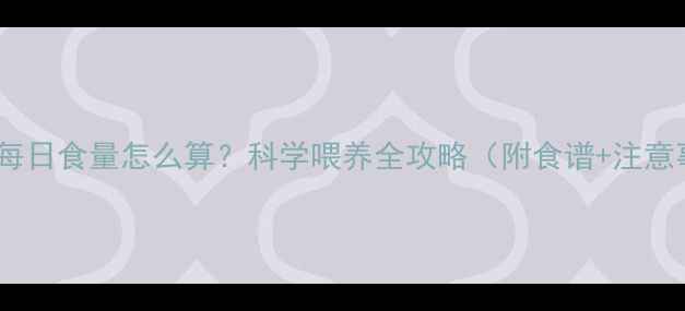 图片 泰迪犬每日食量怎么算？科学喂养全攻略（附食谱+注意事项）1