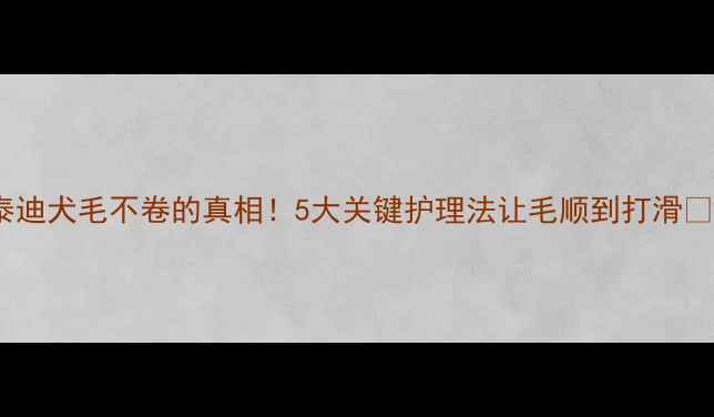图片 泰迪犬毛不卷的真相！5大关键护理法让毛顺到打滑✨2