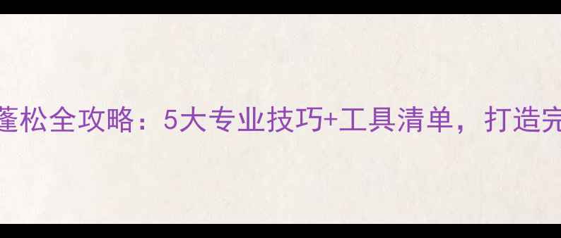 图片 泰迪犬毛发蓬松全攻略：5大专业技巧+工具清单，打造完美蓬松造型