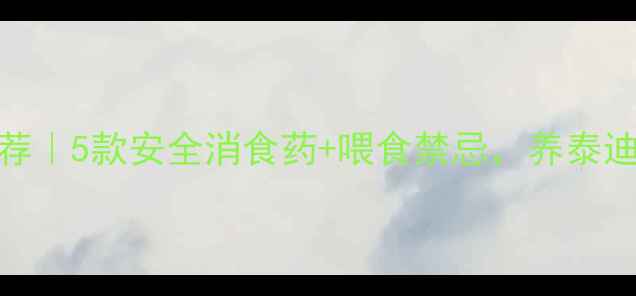 图片 泰迪犬消食片推荐｜5款安全消食药+喂食禁忌，养泰迪必看养胃指南！