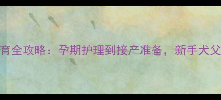 图片 泰迪犬生育全攻略：孕期护理到接产准备，新手犬父母必看！