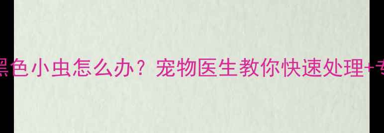 图片 泰迪犬皮肤黑色小虫怎么办？宠物医生教你快速处理+专业预防指南