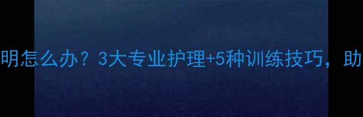 图片 泰迪犬眼睛失明怎么办？3大专业护理+5种训练技巧，助狗狗重获新生