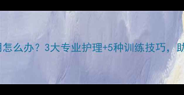 图片 泰迪犬眼睛失明怎么办？3大专业护理+5种训练技巧，助狗狗重获新生1
