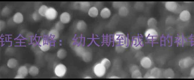 图片 泰迪犬科学补钙全攻略：幼犬期到成年的补钙指南与误区1