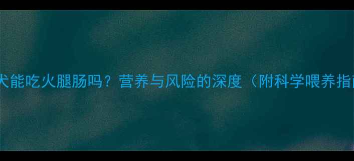 图片 泰迪犬能吃火腿肠吗？营养与风险的深度（附科学喂养指南）1