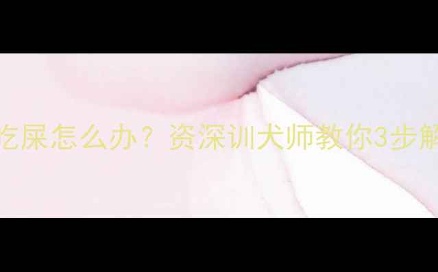 图片 泰迪犬频繁吃屎怎么办？资深训犬师教你3步解决肠胃问题