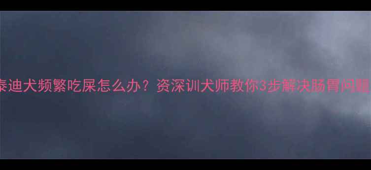 图片 泰迪犬频繁吃屎怎么办？资深训犬师教你3步解决肠胃问题2