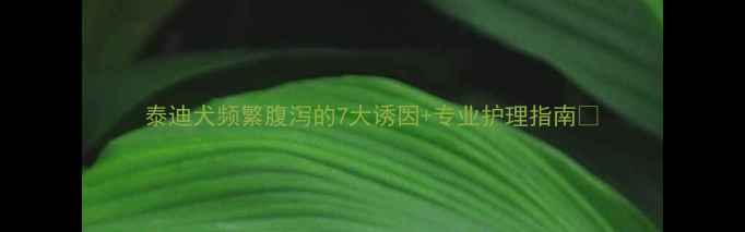图片 泰迪犬频繁腹泻的7大诱因+专业护理指南🐾