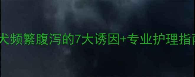 图片 泰迪犬频繁腹泻的7大诱因+专业护理指南🐾1