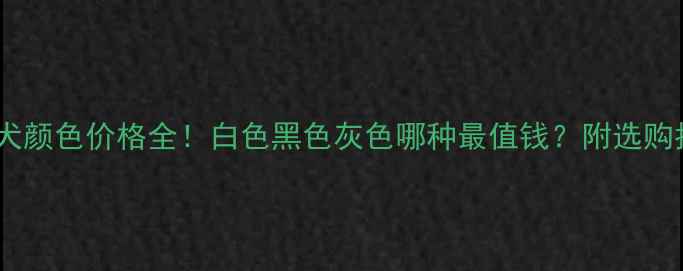 图片 泰迪犬颜色价格全！白色黑色灰色哪种最值钱？附选购指南1