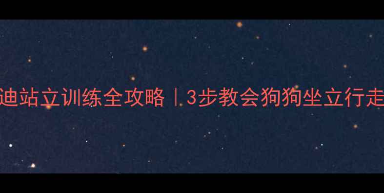 图片 泰迪站立训练全攻略｜3步教会狗狗坐立行走✨