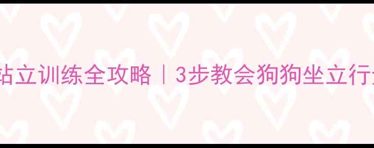 图片 泰迪站立训练全攻略｜3步教会狗狗坐立行走✨1