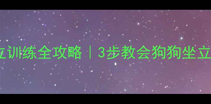 图片 泰迪站立训练全攻略｜3步教会狗狗坐立行走✨2
