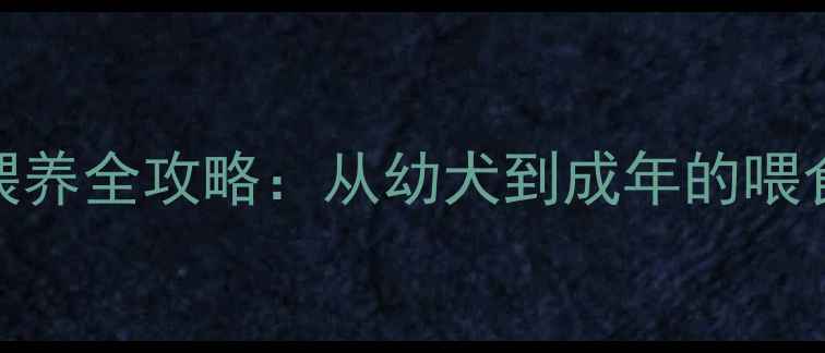 图片 泰迪茶杯犬科学喂养全攻略：从幼犬到成年的喂食指南与营养管理