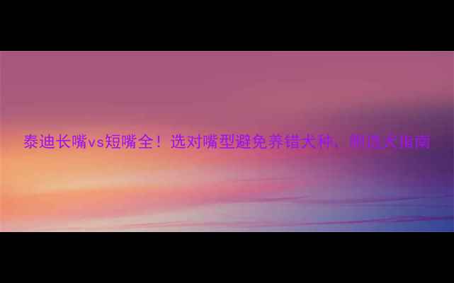 图片 泰迪长嘴vs短嘴全！选对嘴型避免养错犬种，附选犬指南